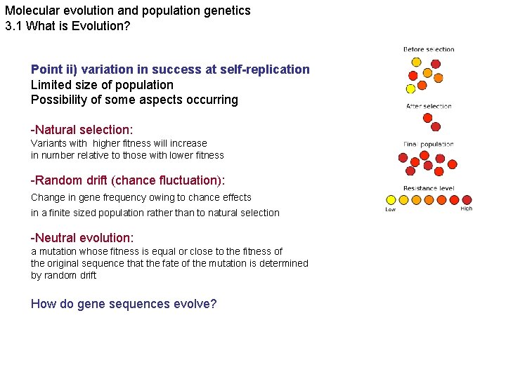 Molecular evolution and population genetics 3. 1 What is Evolution? Point ii) variation in