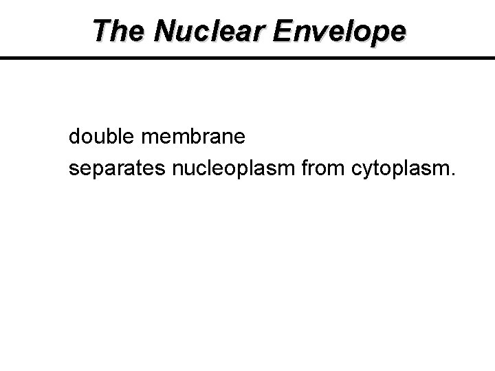 The Nuclear Envelope double membrane separates nucleoplasm from cytoplasm. The Nuclear Envelope double membrane separates nucleoplasm from cytoplasm.