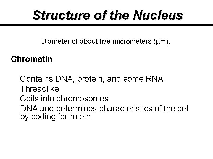 Structure of the Nucleus Diameter of about five micrometers ( m). Chromatin Contains DNA, Structure of the Nucleus Diameter of about five micrometers ( m). Chromatin Contains DNA,