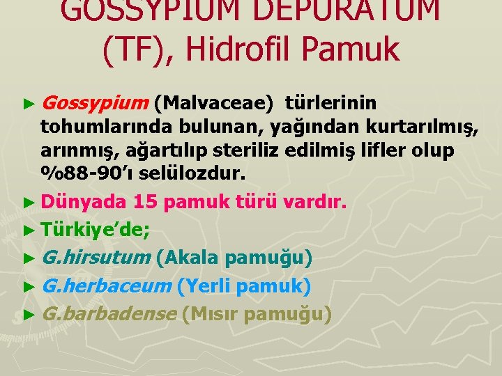 GOSSYPIUM DEPURATUM (TF), Hidrofil Pamuk ► Gossypium (Malvaceae) türlerinin tohumlarında bulunan, yağından kurtarılmış, arınmış,