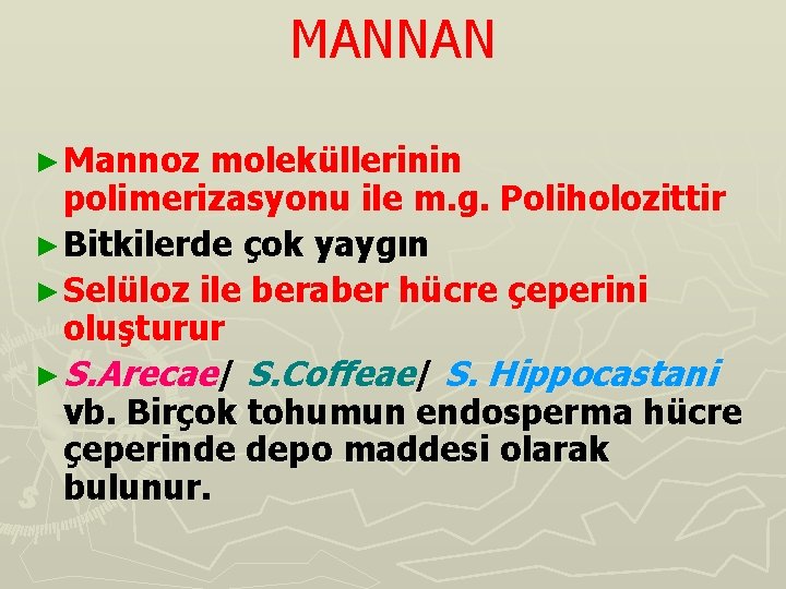 MANNAN ► Mannoz moleküllerinin polimerizasyonu ile m. g. Poliholozittir ► Bitkilerde çok yaygın ►