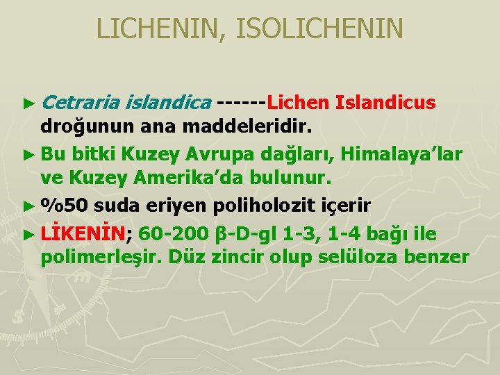 LICHENIN, ISOLICHENIN ► Cetraria islandica ------Lichen Islandicus droğunun ana maddeleridir. ► Bu bitki Kuzey