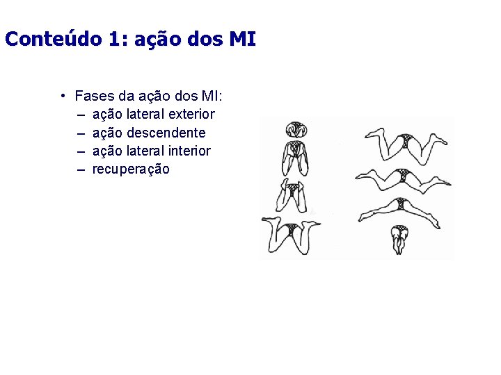 Conteúdo 1: ação dos MI • Fases da ação dos MI: – ação lateral Conteúdo 1: ação dos MI • Fases da ação dos MI: – ação lateral