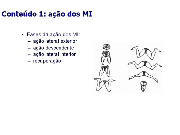 Conteúdo 1: ação dos MI • Fases da ação dos MI: – ação lateral