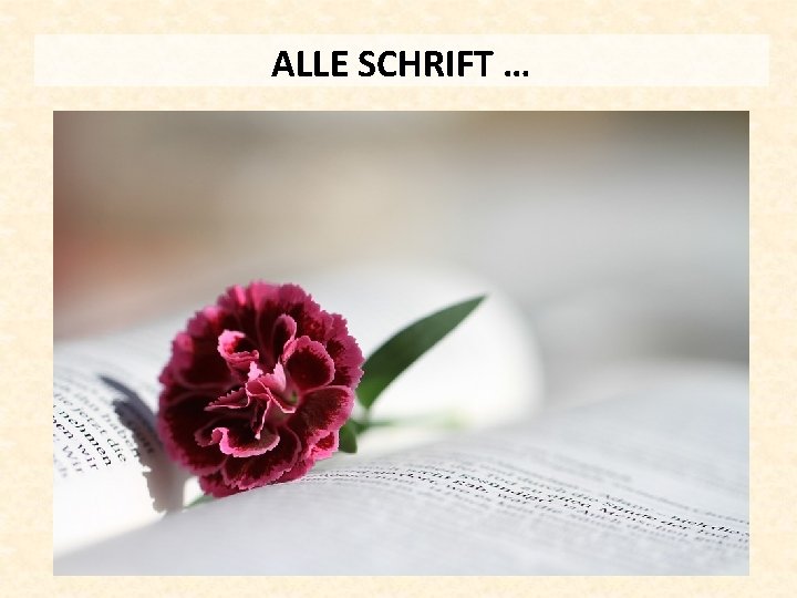 ALLE SCHRIFT … 