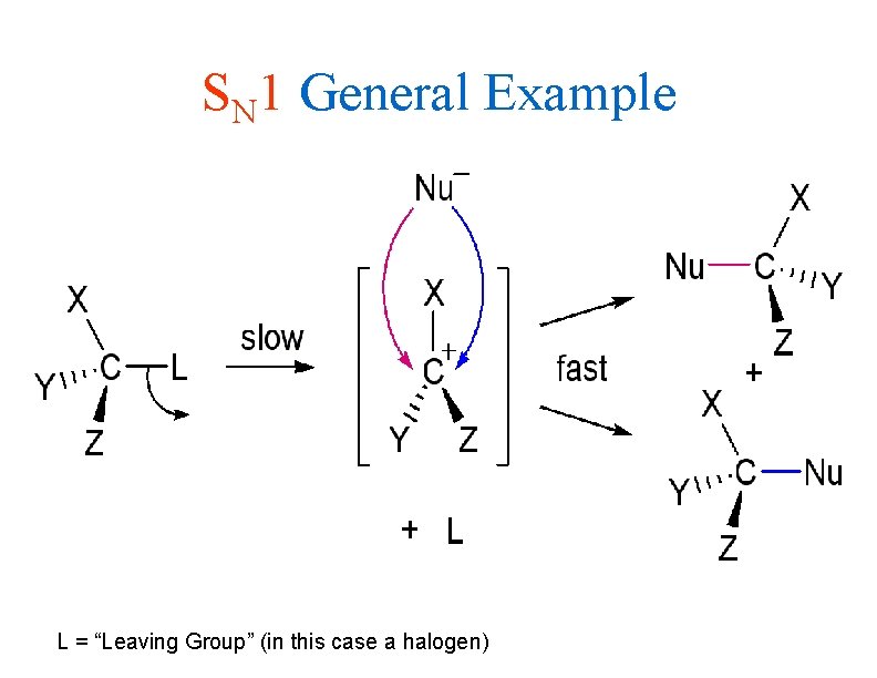 SN 1 General Example L = “Leaving Group” (in this case a halogen) 
