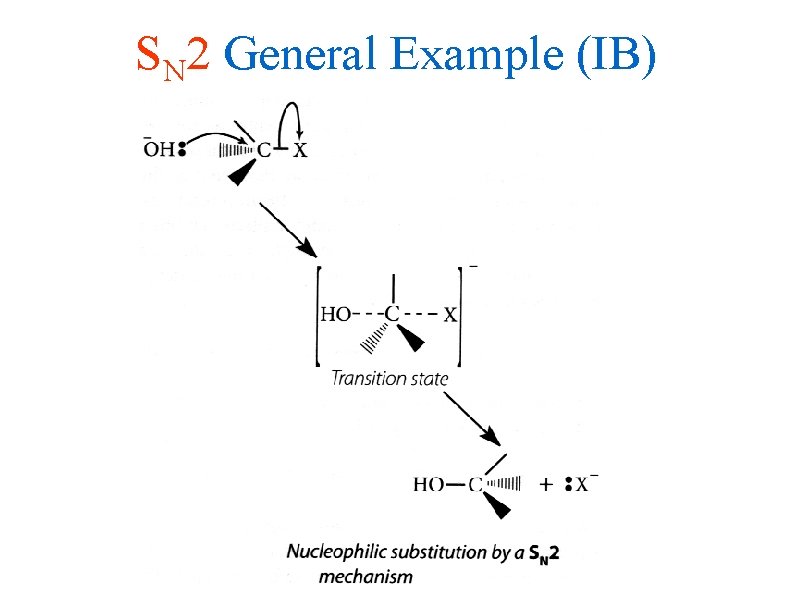 SN 2 General Example (IB) 