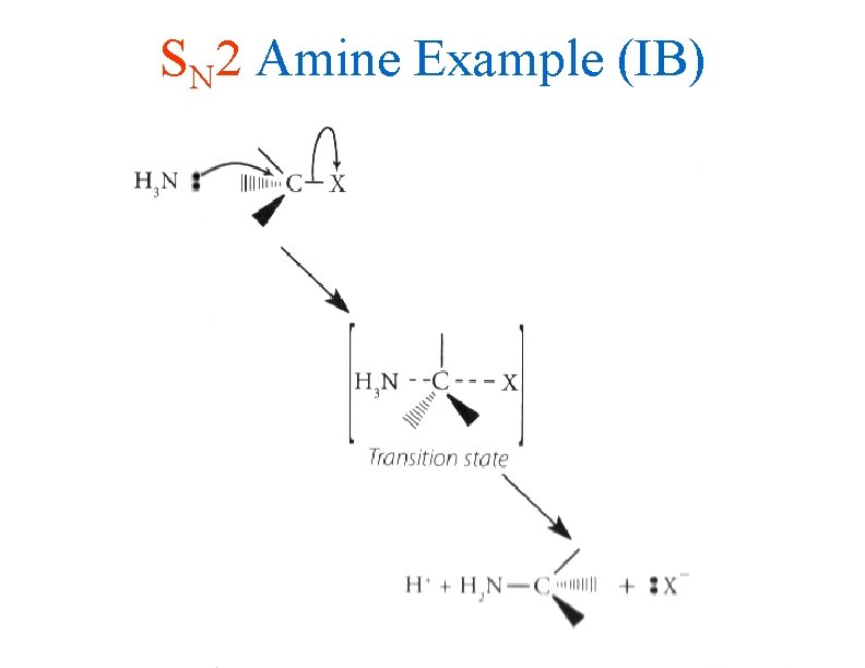 SN 2 Amine Example (IB) 