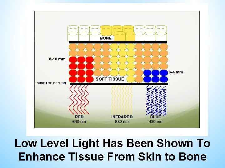 Low Level Light Has Been Shown To Enhance Tissue From Skin to Bone 