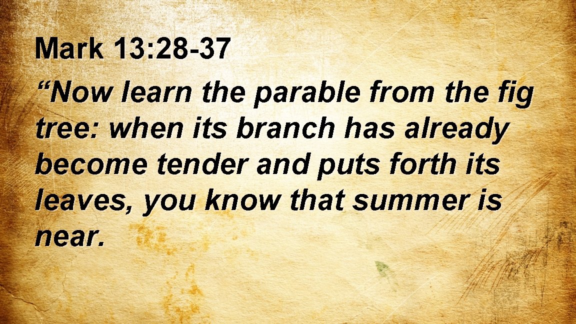 Mark 13: 28 -37 “Now learn the parable from the fig tree: when its