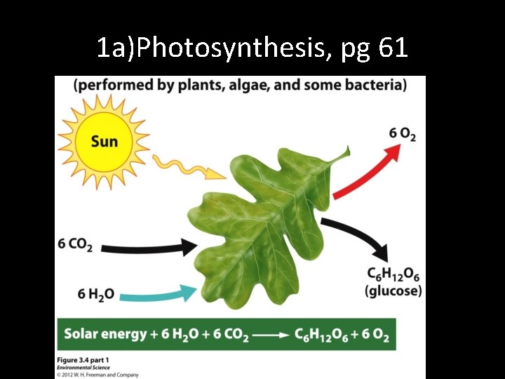 1 a)Photosynthesis, pg 61 