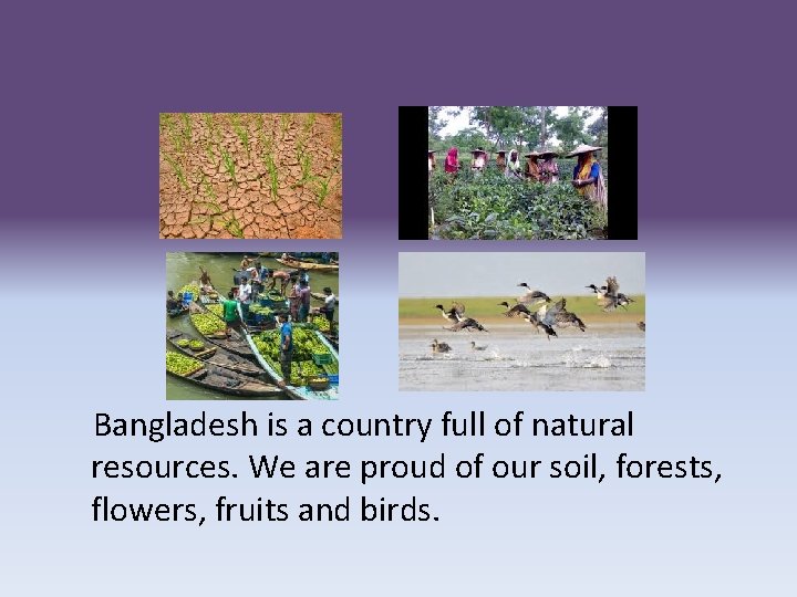 Bangladesh is a country full of natural resources. We are proud of our soil,