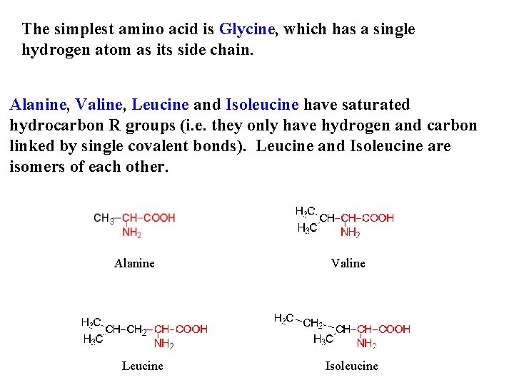 The simplest amino acid is Glycine, which has a single hydrogen atom as its
