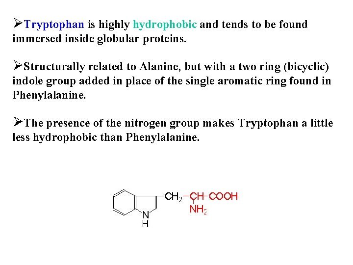 ØTryptophan is highly hydrophobic and tends to be found immersed inside globular proteins. ØStructurally