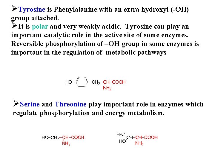 ØTyrosine is Phenylalanine with an extra hydroxyl (-OH) group attached. ØIt is polar and