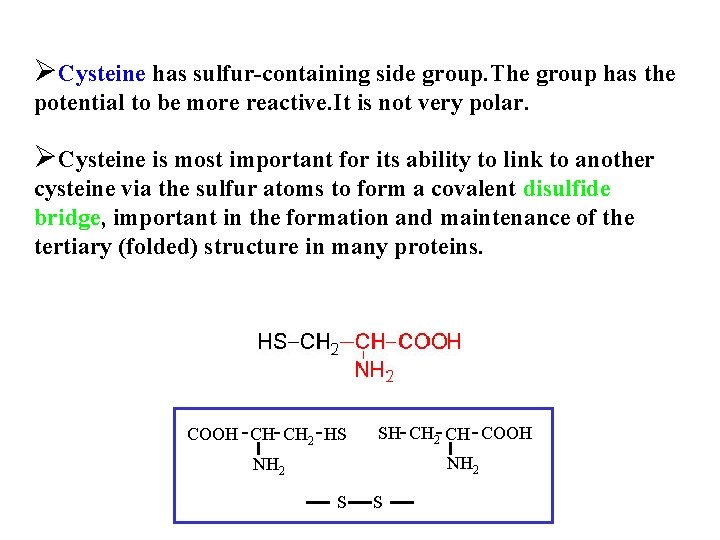 ØCysteine has sulfur-containing side group. The group has the potential to be more reactive.