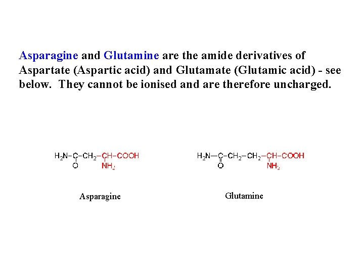 Asparagine and Glutamine are the amide derivatives of Aspartate (Aspartic acid) and Glutamate (Glutamic