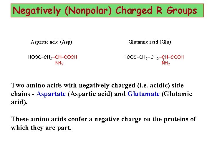 Negatively (Nonpolar) Charged R Groups Aspartic acid (Asp) Glutamic acid (Glu) Two amino acids