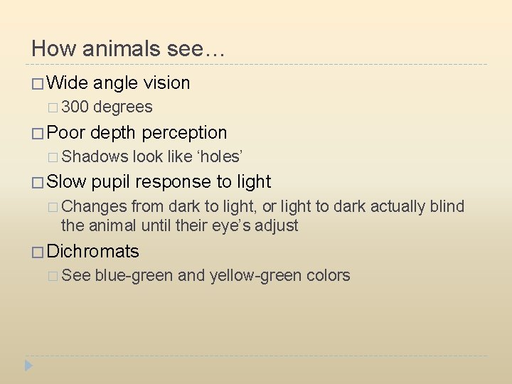 How animals see… � Wide angle vision � 300 � Poor degrees depth perception