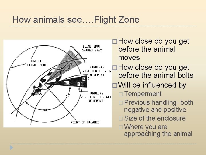 How animals see…. Flight Zone � How close do you get before the animal