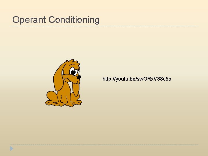 Operant Conditioning http: //youtu. be/sw. ORx. V 88 c 5 o 