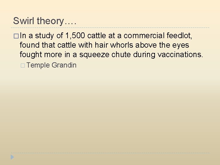 Swirl theory…. � In a study of 1, 500 cattle at a commercial feedlot,