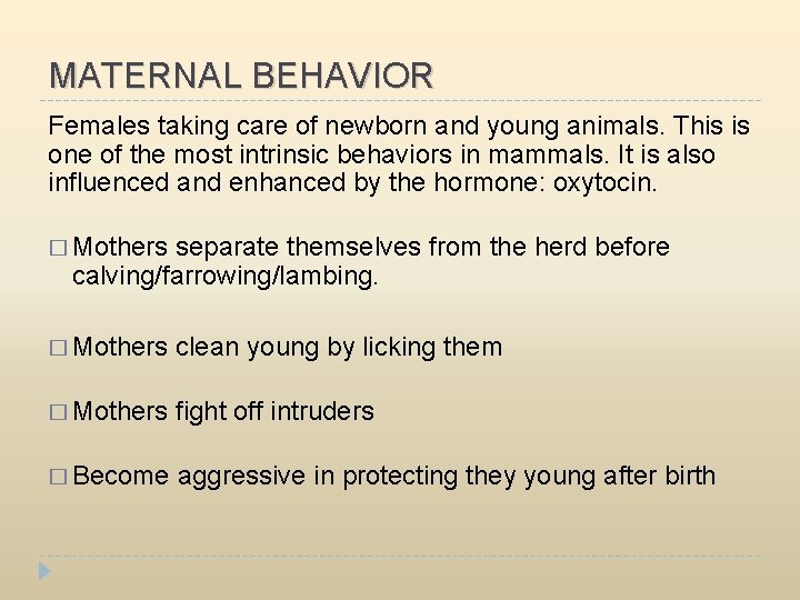 MATERNAL BEHAVIOR Females taking care of newborn and young animals. This is one of