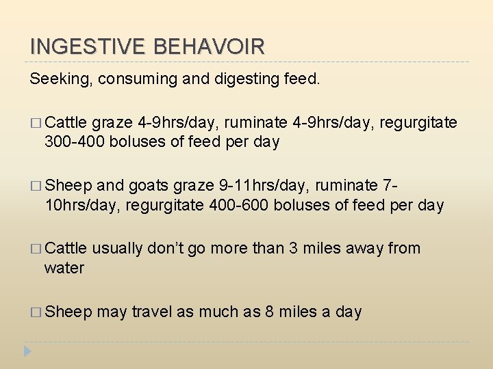 INGESTIVE BEHAVOIR Seeking, consuming and digesting feed. � Cattle graze 4 -9 hrs/day, ruminate