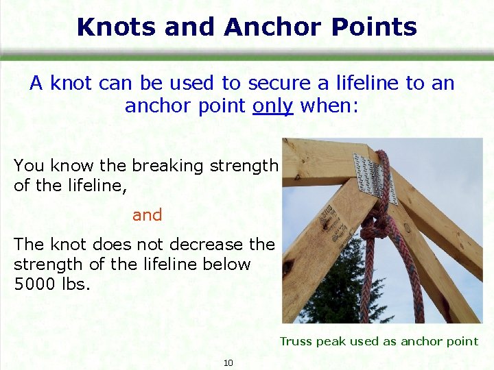 Knots and Anchor Points A knot can be used to secure a lifeline to