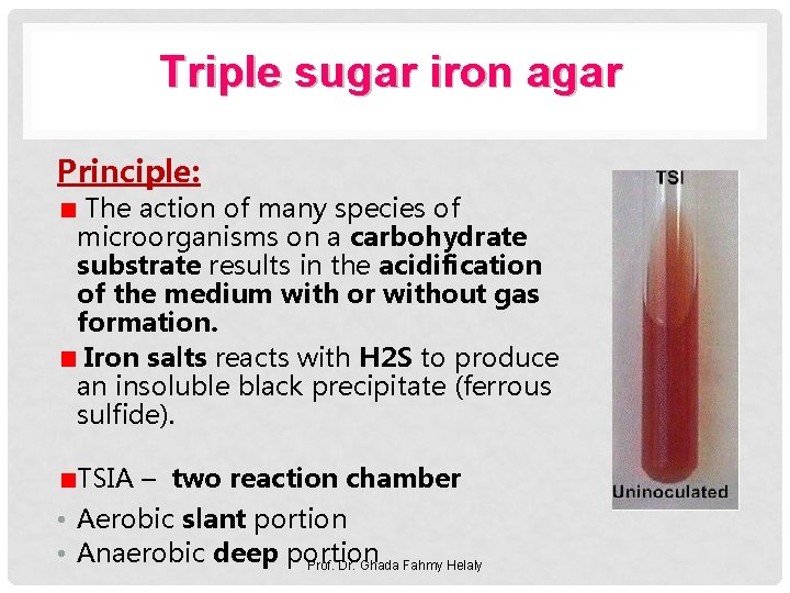 Triple sugar iron agar Principle: The action of many species of microorganisms on a