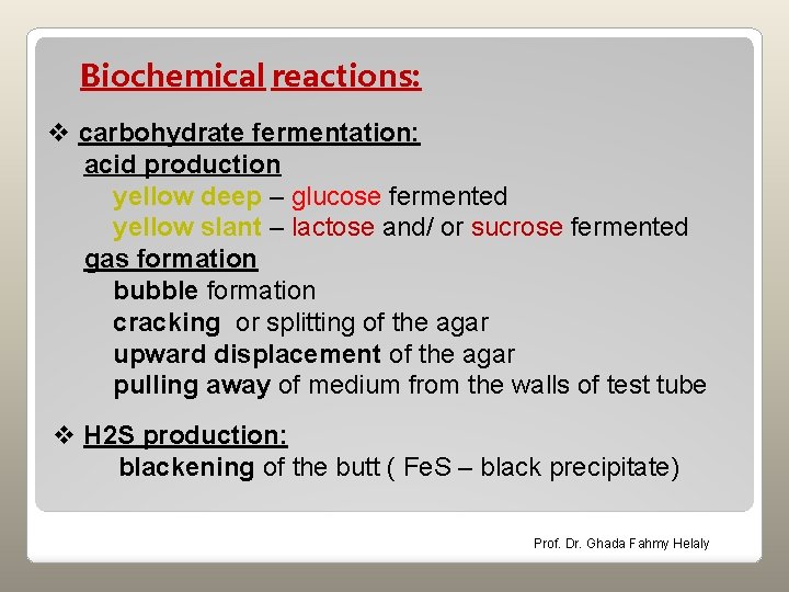 Biochemical reactions: v carbohydrate fermentation: acid production yellow deep – glucose fermented yellow slant