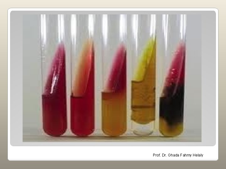 Prof. Dr. Ghada Fahmy Helaly 