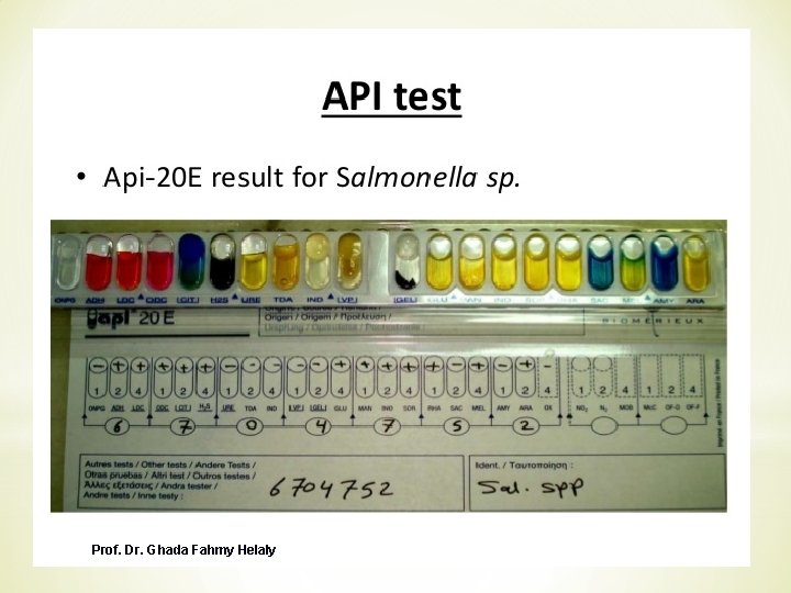 Prof. Dr. Ghada Fahmy Helaly 