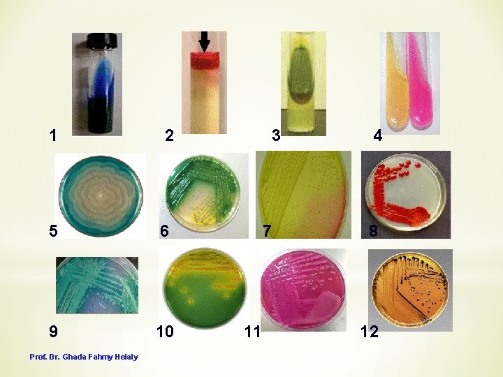 1 2 5 6 9 10 Prof. Dr. Ghada Fahmy Helaly 3 7 11