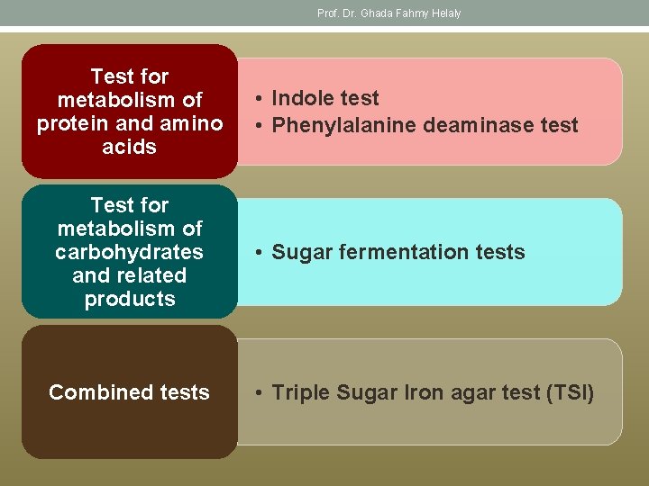 Prof. Dr. Ghada Fahmy Helaly Test for metabolism of protein and amino acids Test