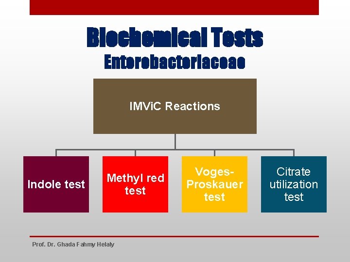 Biochemical Tests Enterobacteriaceae IMVi. C Reactions Indole test Methyl red test Prof. Dr. Ghada