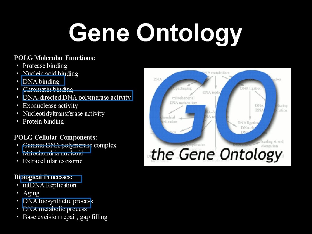 Gene Ontology POLG Molecular Functions: • Protease binding • Nucleic acid binding • DNA