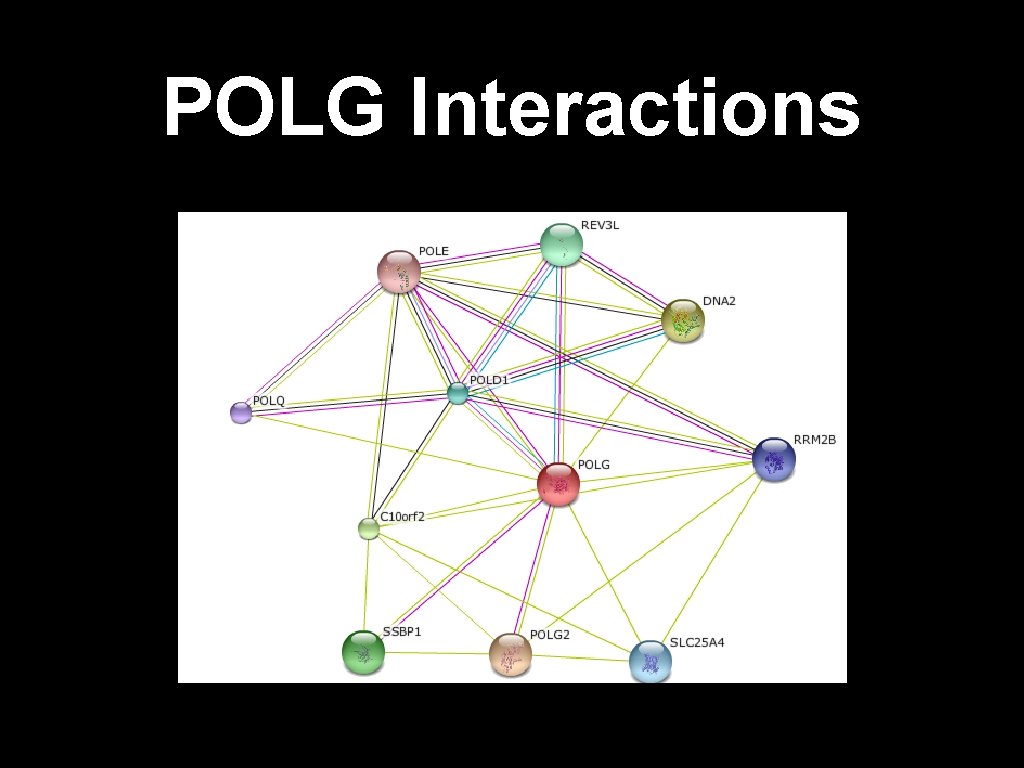 POLG Interactions 