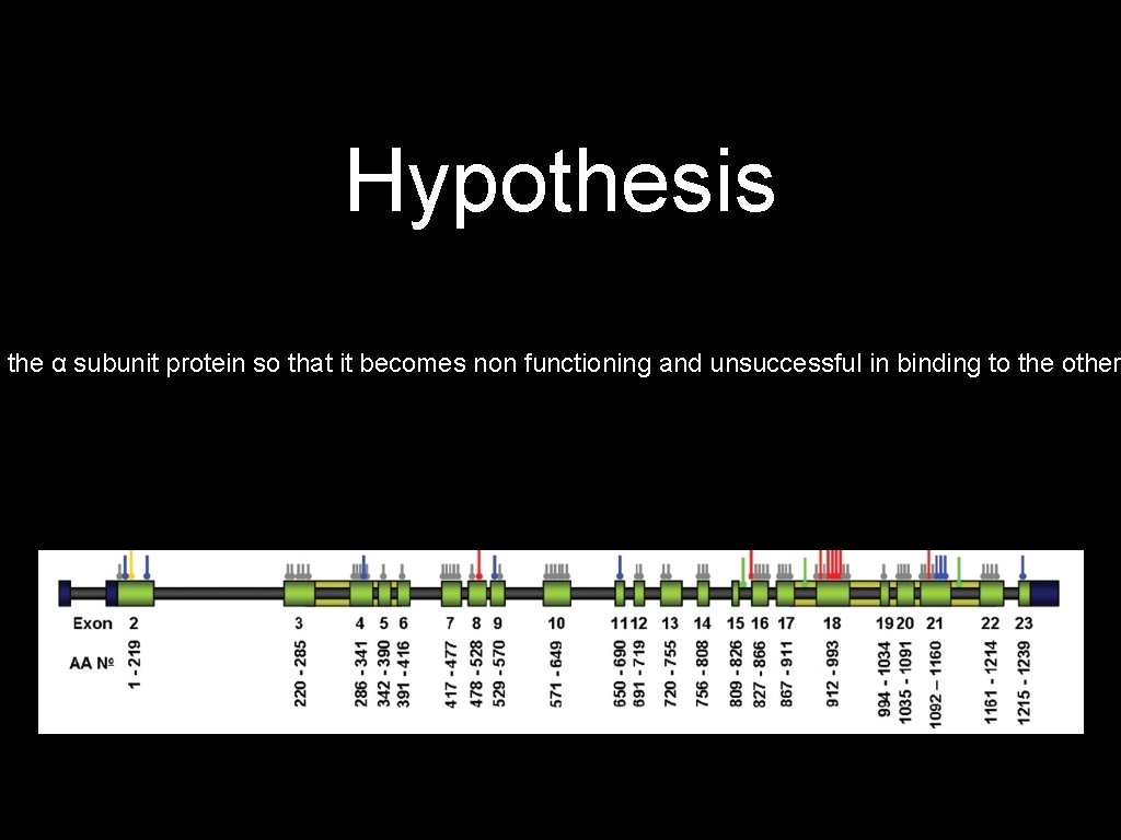 Hypothesis f the α subunit protein so that it becomes non functioning and unsuccessful