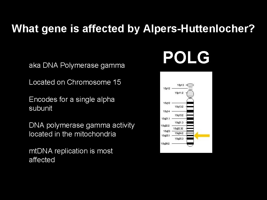 What gene is affected by Alpers-Huttenlocher? aka DNA Polymerase gamma Located on Chromosome 15