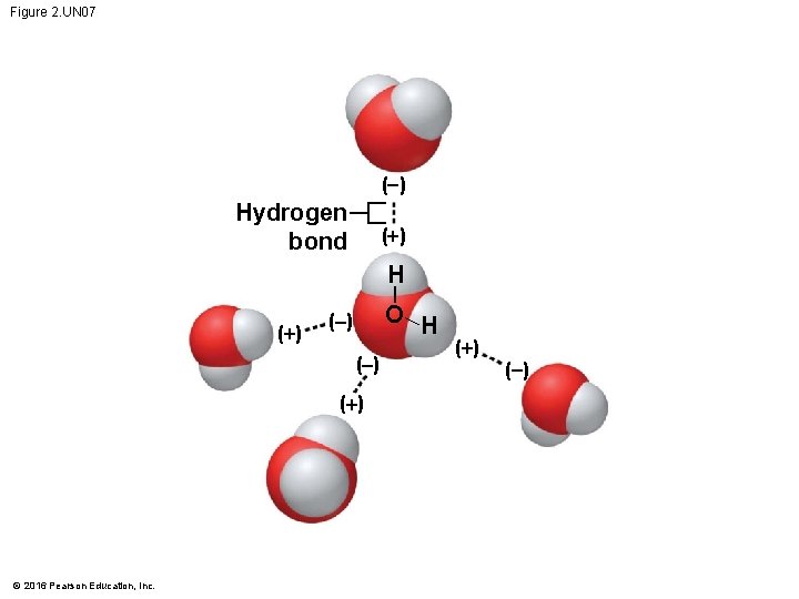 Figure 2. UN 07 ( ) Hydrogen bond (+) H (+) O H (