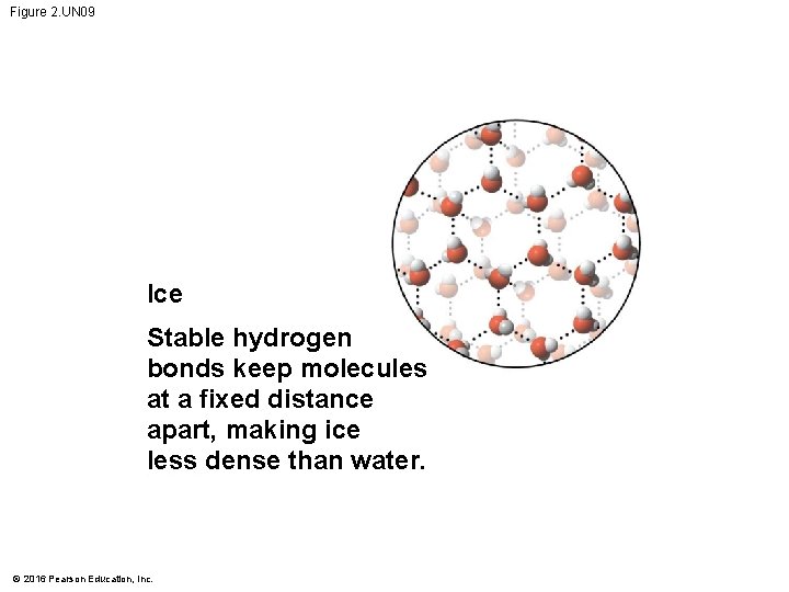 Figure 2. UN 09 Ice Stable hydrogen bonds keep molecules at a fixed distance