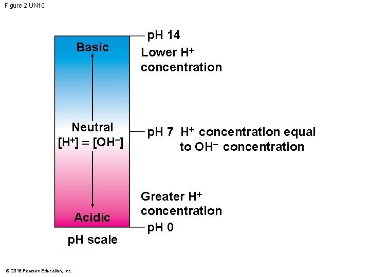 Figure 2. UN 10 Basic Neutral [H+] = [OH ] Acidic p. H scale