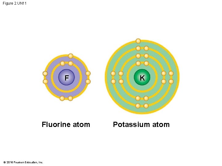 Figure 2. UN 11 F K Fluorine atom Potassium atom © 2016 Pearson Education,
