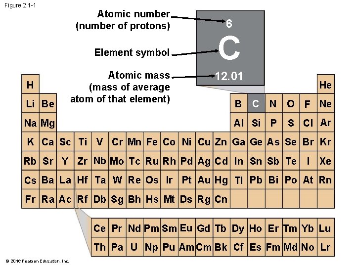 Figure 2. 1 -1 Atomic number (number of protons) Element symbol H Li Be