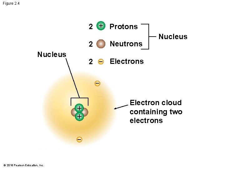 Figure 2. 4 2 + Protons Neutrons 2 Nucleus 2 Electrons + + ©