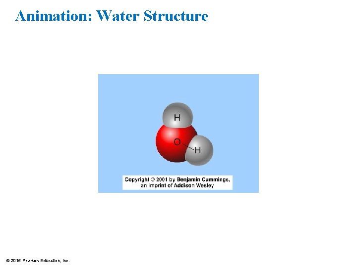 Animation: Water Structure © 2016 Pearson Education, Inc. 