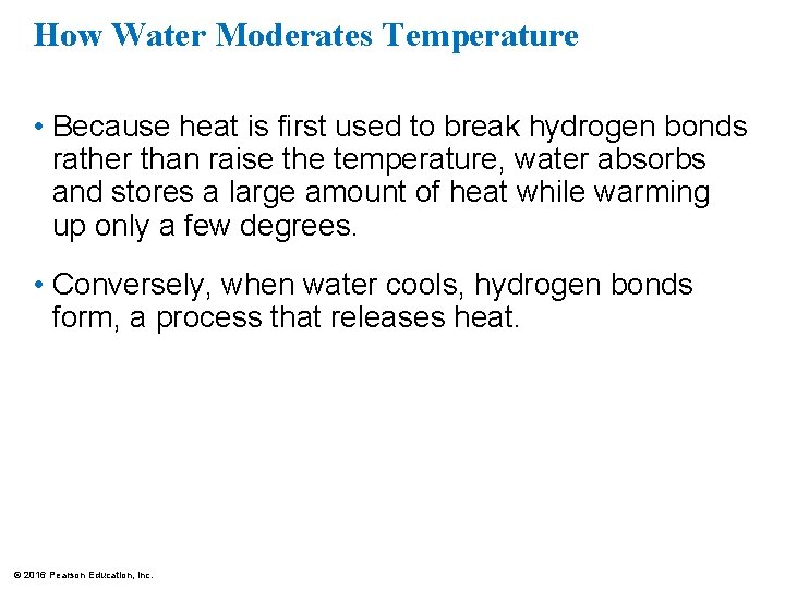 How Water Moderates Temperature • Because heat is first used to break hydrogen bonds