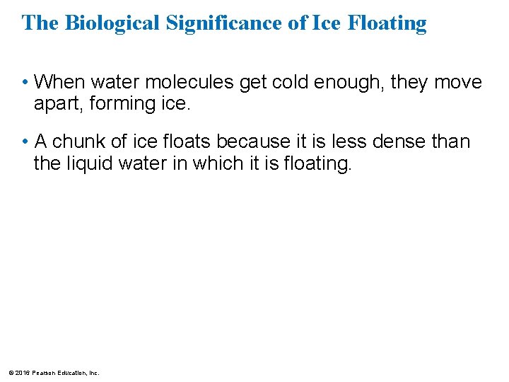 The Biological Significance of Ice Floating • When water molecules get cold enough, they