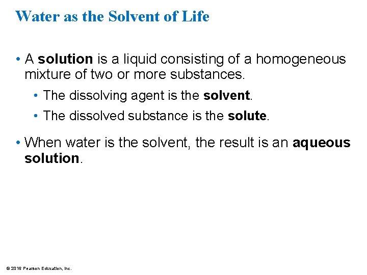 Water as the Solvent of Life • A solution is a liquid consisting of